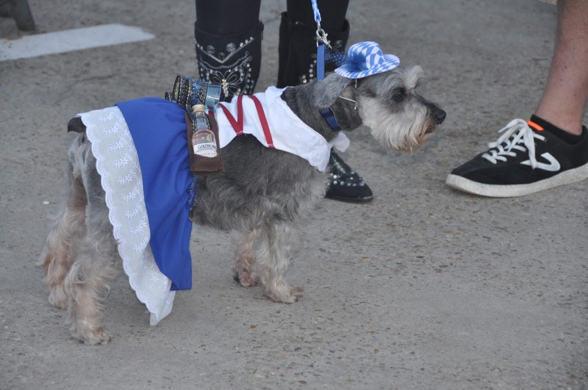 Second Weekend of Oktoberfest